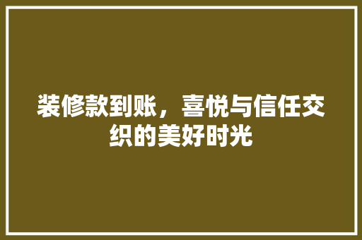装修款到账，喜悦与信任交织的美好时光 装修款到账，喜悦与信任交织的美好时光 厨房维修