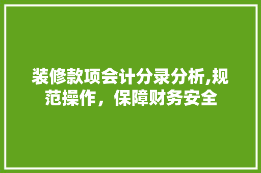 装修款项会计分录分析,规范操作，保障财务安全 装修款项会计分录分析,规范操作，保障财务安全 厨房维修