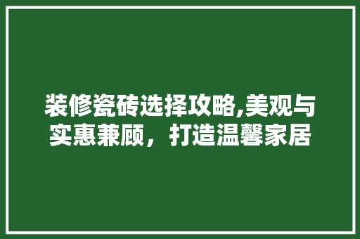 装修瓷砖选择攻略,美观与实惠兼顾，打造温馨家居 装修瓷砖选择攻略,美观与实惠兼顾，打造温馨家居 家电维修