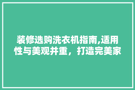 装修选购洗衣机指南,适用性与美观并重，打造完美家居生活 装修选购洗衣机指南,适用性与美观并重，打造完美家居生活 居家维修