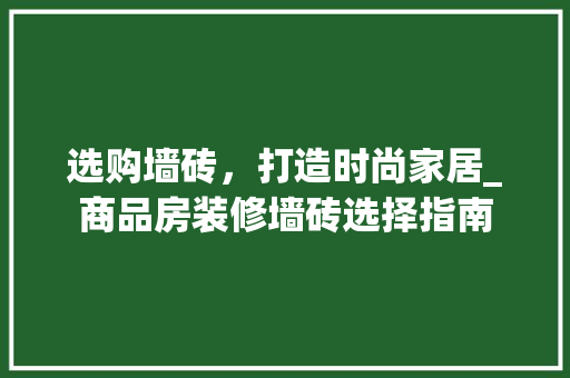 选购墙砖，打造时尚家居_商品房装修墙砖选择指南 选购墙砖，打造时尚家居_商品房装修墙砖选择指南 厨房维修
