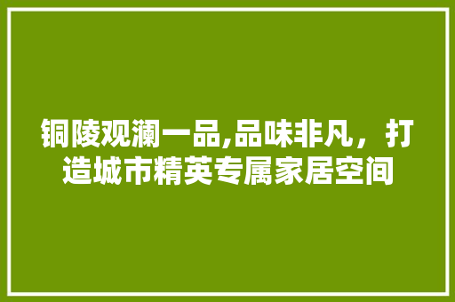 铜陵观澜一品,品味非凡，打造城市精英专属家居空间 铜陵观澜一品,品味非凡，打造城市精英专属家居空间 厨房维修