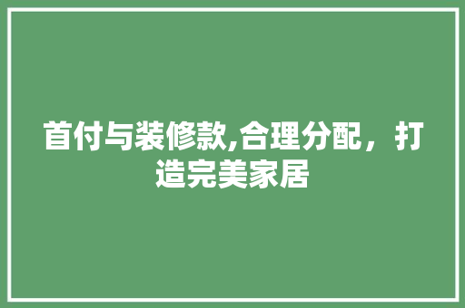 首付与装修款,合理分配，打造完美家居 首付与装修款,合理分配，打造完美家居 厨房维修
