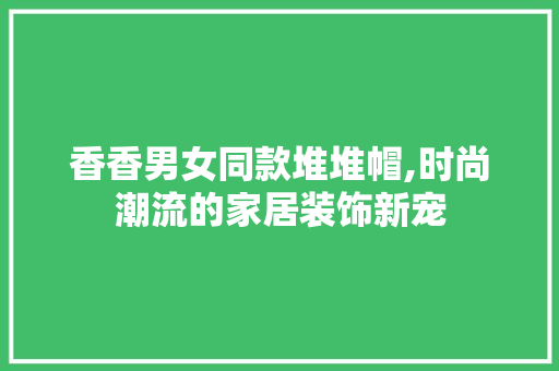 香香男女同款堆堆帽,时尚潮流的家居装饰新宠 香香男女同款堆堆帽,时尚潮流的家居装饰新宠 厨房维修