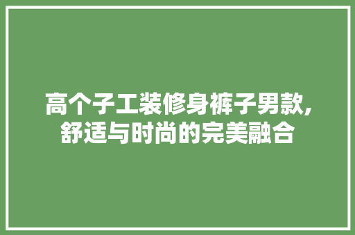 高个子工装修身裤子男款,舒适与时尚的完美融合 高个子工装修身裤子男款,舒适与时尚的完美融合 家电维修