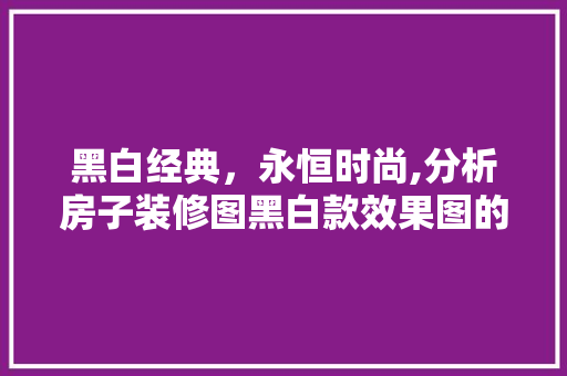 黑白经典，永恒时尚,分析房子装修图黑白款效果图的艺术魅力 黑白经典，永恒时尚,分析房子装修图黑白款效果图的艺术魅力 居家维修