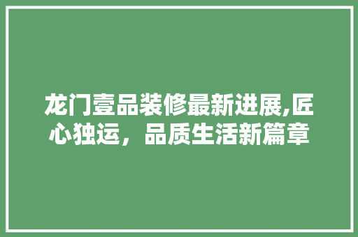 龙门壹品装修最新进展,匠心独运，品质生活新篇章 龙门壹品装修最新进展,匠心独运，品质生活新篇章 厨房维修