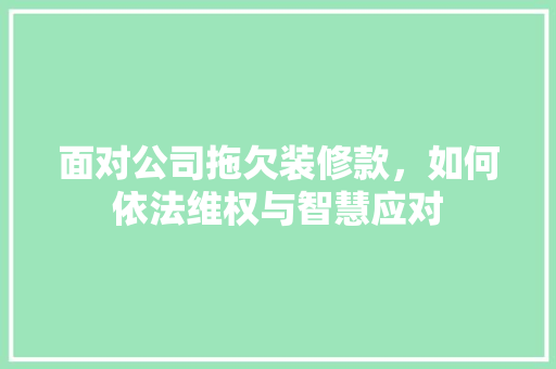 面对公司拖欠装修款，如何依法维权与智慧应对 面对公司拖欠装修款，如何依法维权与智慧应对 家电维修