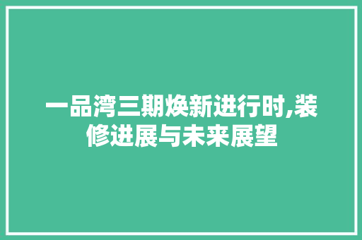 一品湾三期焕新进行时,装修进展与未来展望 一品湾三期焕新进行时,装修进展与未来展望 墙体维修