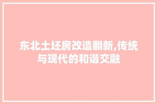东北土坯房改造翻新,传统与现代的和谐交融 家电维修