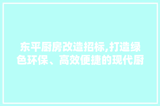 东平厨房改造招标,打造绿色环保、高效便捷的现代厨房新典范 厨房维修
