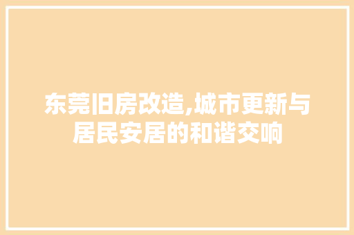 东莞旧房改造,城市更新与居民安居的和谐交响 厨房维修