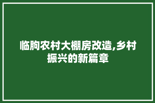 临朐农村大棚房改造,乡村振兴的新篇章 墙体维修