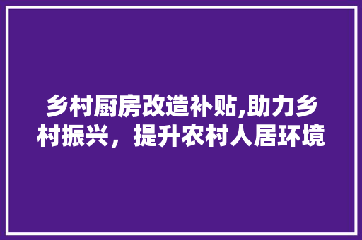 乡村厨房改造补贴,助力乡村振兴，提升农村人居环境 居家维修