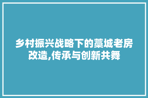 乡村振兴战略下的藁城老房改造,传承与创新共舞 居家维修