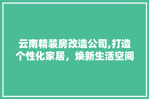 云南精装房改造公司,打造个性化家居，焕新生活空间 家电维修
