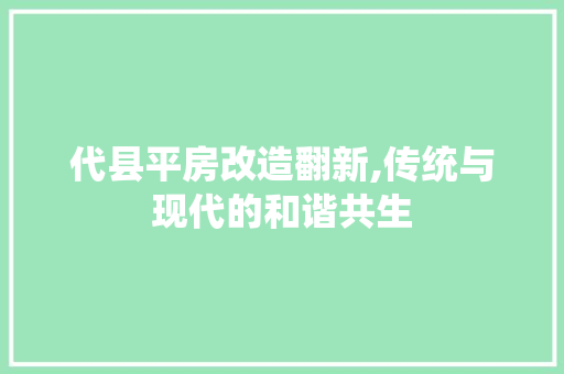 代县平房改造翻新,传统与现代的和谐共生 居家维修