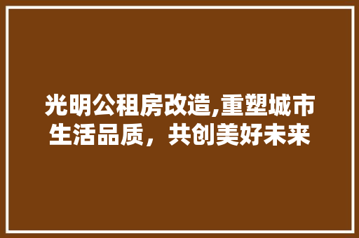 光明公租房改造,重塑城市生活品质，共创美好未来