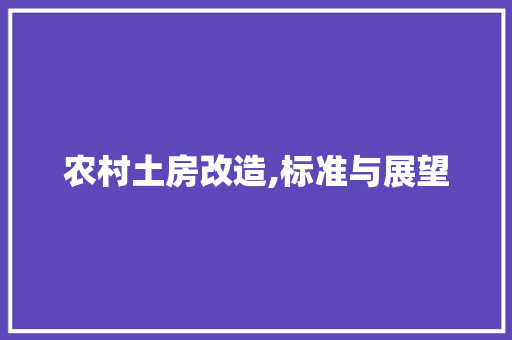 农村土房改造,标准与展望