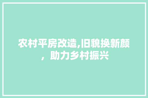 农村平房改造,旧貌换新颜，助力乡村振兴