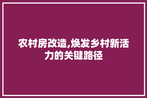 农村房改造,焕发乡村新活力的关键路径 户内维修