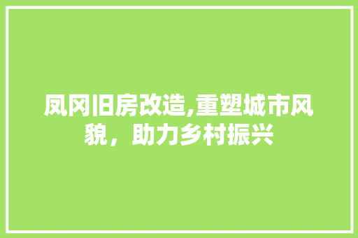 凤冈旧房改造,重塑城市风貌，助力乡村振兴 家电维修