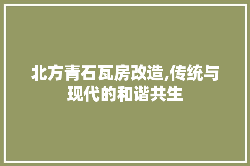 北方青石瓦房改造,传统与现代的和谐共生