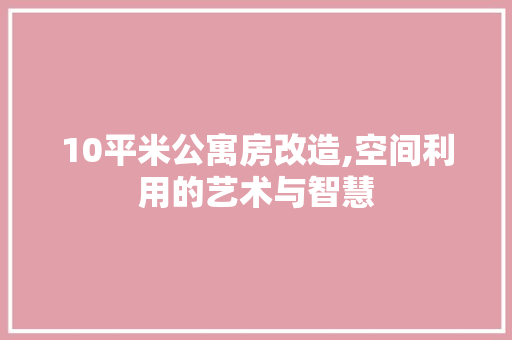 10平米公寓房改造,空间利用的艺术与智慧