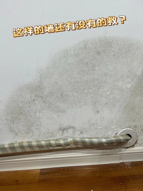 墙体发霉维修报告怎么写,墙体发霉维修报告怎么写的。 墙体维修 墙体发霉维修报告怎么写,墙体发霉维修报告怎么写的。 墙体发霉维修报告怎么写,墙体发霉维修报告怎么写的。 墙体维修